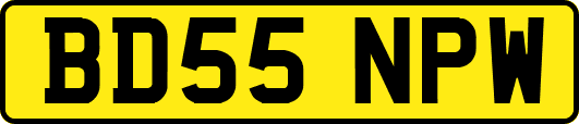 BD55NPW