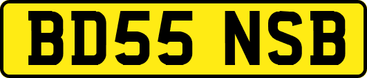 BD55NSB