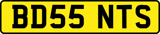 BD55NTS