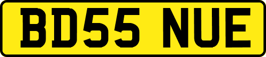 BD55NUE