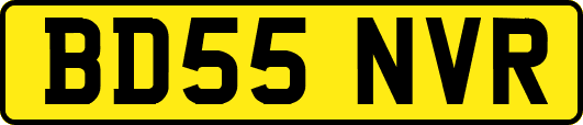 BD55NVR