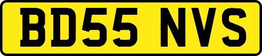 BD55NVS