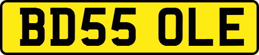 BD55OLE