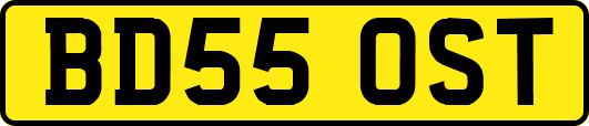 BD55OST