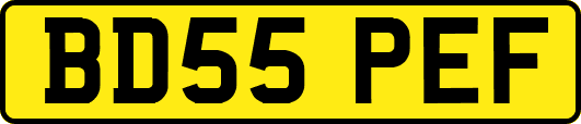 BD55PEF