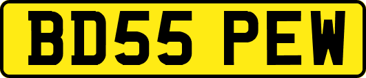 BD55PEW