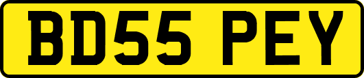 BD55PEY