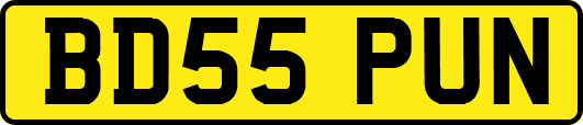 BD55PUN
