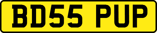 BD55PUP