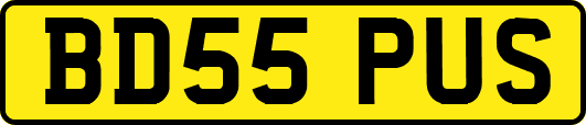BD55PUS