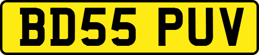 BD55PUV