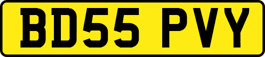 BD55PVY