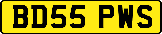 BD55PWS