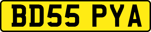 BD55PYA