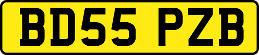 BD55PZB