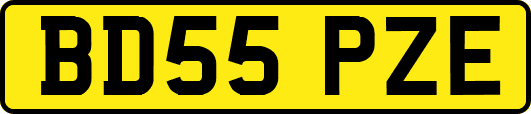 BD55PZE