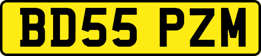 BD55PZM