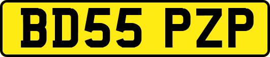 BD55PZP