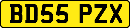 BD55PZX