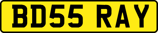BD55RAY