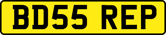 BD55REP