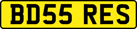 BD55RES