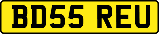 BD55REU
