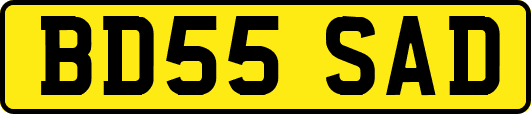 BD55SAD
