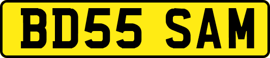 BD55SAM