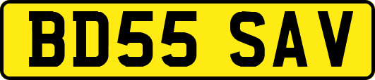 BD55SAV