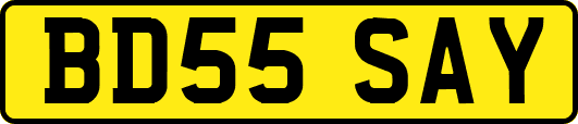 BD55SAY