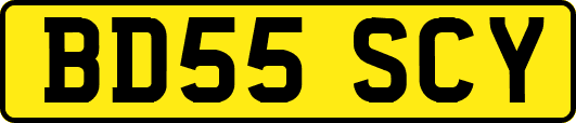 BD55SCY