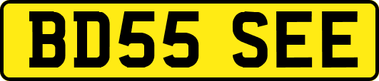 BD55SEE