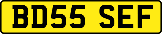 BD55SEF