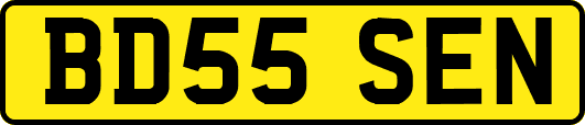 BD55SEN