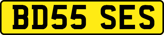 BD55SES