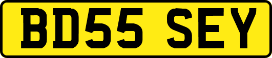 BD55SEY