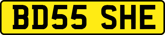 BD55SHE