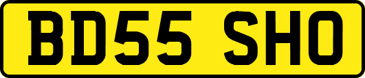 BD55SHO