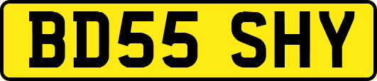BD55SHY