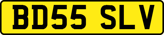 BD55SLV