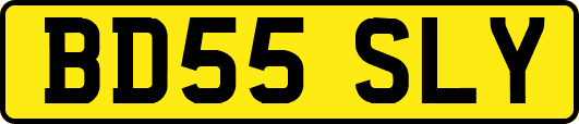 BD55SLY