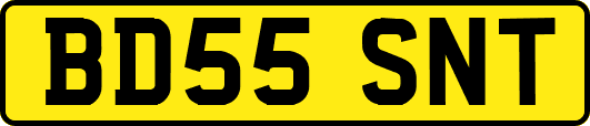 BD55SNT