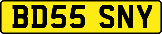 BD55SNY