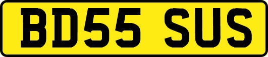 BD55SUS