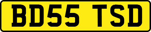 BD55TSD