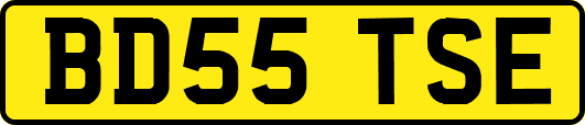 BD55TSE