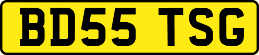 BD55TSG