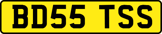 BD55TSS