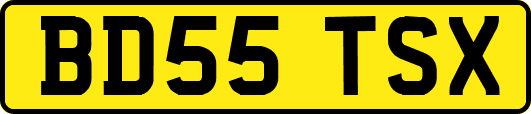 BD55TSX